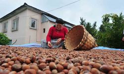 Fındık ihracatı geçen yılı geçti