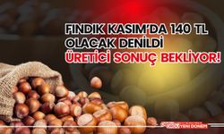 Fındık Kasım’da 140 TL Olacak Denildi, Üretici Sonuç Bekliyor!