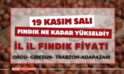 Fındık Üreticisi Umutlu Bekleyişini Sürdürüyor! 19 Kasım Güncel Fındık Fiyatları…