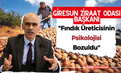 Fındık Üreticisinin Psikolojisi Bozuldu! Mağdur Olmak İstemiyor