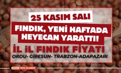 Fındık, Yeni Haftada Heyecan Yarattı! 25 Kasım Güncel Fındık Fiyatları?