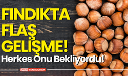 Fındıkta Son Durum! 30 Kasım 2024 Fındık Fiyatları