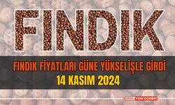 Fındık Fiyatları Güne Yükselişle Girdi