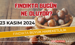 Üretici Direniyor! 200 TL Olmalı! 23 Kasım Fındık Fiyatları