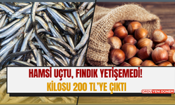 Hamsi Uçtu, Fındık Yetişemedi! Kilosu 200 TL’ye Çıktı