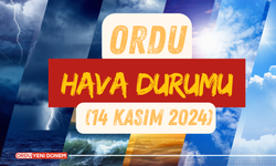 Ordu'da Hava Durumu (14 Kasım 2024): Bugün Nasıl Bir Hava Bekleniyor?