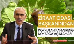 Ziraat Odası Başkanından Korkutan Kahverengi Kokarca Açıklaması