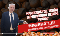 Karadeniz’de Terör Olmamasının Nedeni “Fındık”