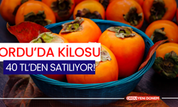 Ordu’da Kilosu 40 TL’den Satılıyor!