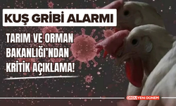 Kuş Gribi Alarmı! Tarım ve Orman Bakanlığı’ndan Kritik Açıklama!