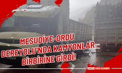 Mesudiye-Ordu Dereyolu'nda Kamyonlar Birbirine Girdi!