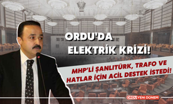 Ordu'da Elektrik Krizi! MHP’li Şanlıtürk, Trafo ve Hatlar İçin Acil Destek İstedi!