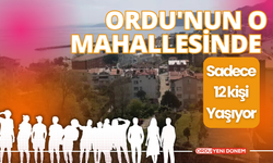 Ordu’nun O Mahallesinde Sadece 12 Kişi Yaşıyor!