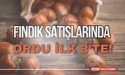 Fındık Satışlarında Ordu İlk 3’te!