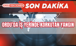 Ordu'da İş Yerinde Korkutan Yangın!