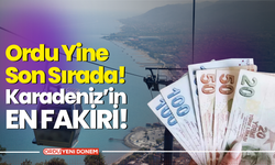 Karadeniz'in En Fakiri! Ordu Yine Son Sırada