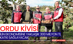 Ordu Kivisi, İlin Ekonomisine Yaklaşık 300 Milyon TL Katkı Sağlayacak