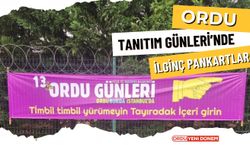 Ordu Tanıtım Günleri’nde ilginç pankartlar: ’Aurdan gidili’