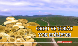 Tokat ve Ordu Göz Göre Göre Yok Ediliyor! Yaylalarda Altın Arama Krizi