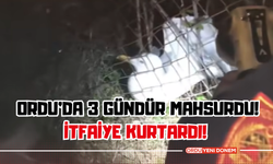 Ordu’da 3 Gündür Mahsurdu! İtfaiye Kurtardı! İşte O Görüntüler…