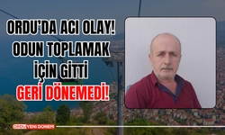 Ordu’da Acı Olay! Odun Toplamak İçin Gitti, Geri Dönemedi