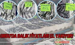 Ordu’da Balık Fiyatları El Yakıyor!