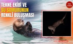 Ordu’da Denizde Sürpriz Misafir, Su Samuru Tekne Ekibine Katıldı! İşte O Renkli Görüntüler…