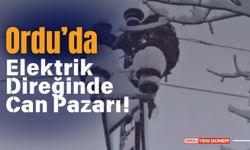 Ordu’da Elektrik Direğinde Can Pazarı!