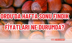 Ordu’da Hafta Sonu Fındık Fiyatları Ne Durumda?