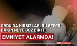 Ordu’da, Hırsızların Bu Sefer Çaldığı Şeye İnanamayacaksınız!