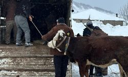 Ordu’da kar nedeniyle yaylada mahsur kalan vatandaşlar kurtarıldı