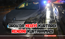 Ordu'da Kediyi Kurtardı, Kendini Kurtaramadı