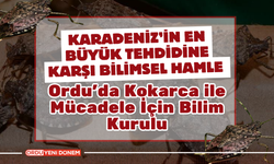 Ordu’da Kokarca ile Mücadele İçin Bilim Kurulu Bir Araya Geldi!