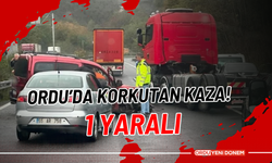 Ordu’da Korkutan Kaza! 1 Yaralı