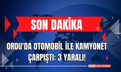 Ordu'da Otomobil ile Kamyonet Çarpıştı: 3 Yaralı!