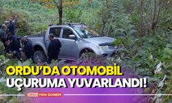 Ordu’da Otomobil Uçuruma Yuvarlandı