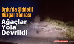 Ordu’da Şiddetli Rüzgar Sonrası Ağaçlar Yola Devrildi