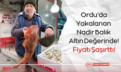 Ordu’da Yakalanan Nadir Balık Altın Değerinde! Fiyatı Şaşırttı!