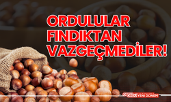 Ordulular Fındıktan Vazgeçmediler!