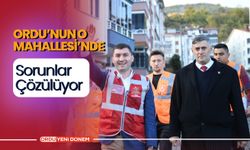 Ordu’nun O Mahallesi’nde Sorunlar Çözülüyor