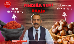 Ordu’da Fındık Üreticileri İçin Yeni Bir Yatırım Fırsatı: Gramı 600 TL!