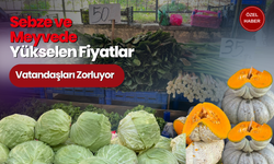 Pazarda Yükselen Fiyatlar Dikkat Çekti!