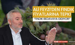 Ali Feyzi’den Fındık Fiyatlarına Tepki: “Fındık Bedavaya Gidiyor!”