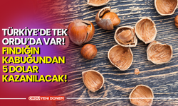 TÜRKİYE’DE TEK ORDU’DA VAR! FINDIĞIN KABUĞUNDAN 5 DOLAR KAZANILACAK!