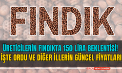 Üreticilerin Fındıkta 150 Lira Beklentisi! İşte Ordu ve Diğer İllerin Güncel Fiyatları