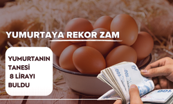 Yumurtaya Rekor Zam!