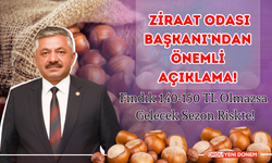 Ziraat Odası Başkanı’ndan Önemli Açıklama! Fındık 140-150 TL Olmazsa Gelecek Sezon Riskte!