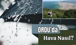 Ordu’da Anlık Hava Durumu? 07 Aralık 2024 Hava Sıcaklığı Nasıl?