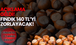 17 Aralık Serbest Piyasa Fındık Fiyatları…