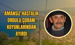 Amansız Hastalık, Ordulu Çobanı Koyunlarından Ayırdı!